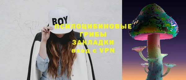 apvp Карпинск