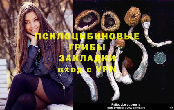 apvp Карпинск