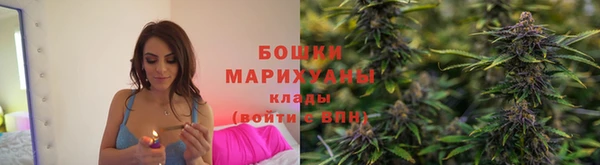 apvp Карпинск