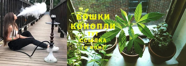 apvp Карпинск