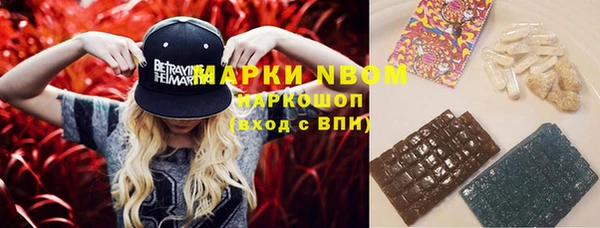 apvp Карпинск