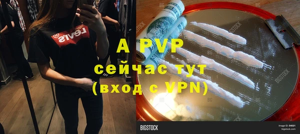 apvp Карпинск