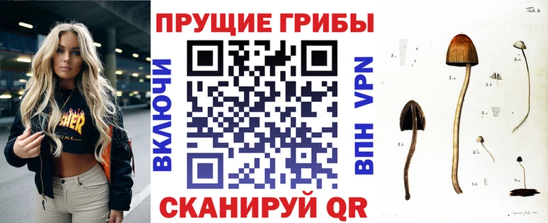 Галлюциногенные грибы мицелий  Купить закладки  Добрянка 